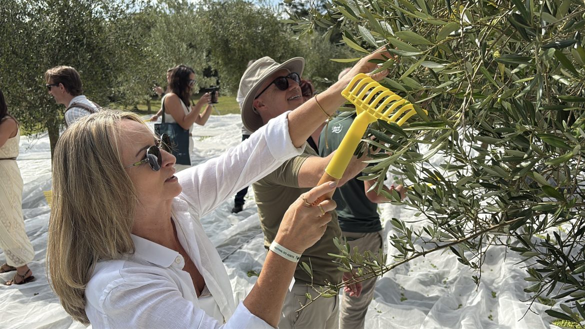 azeites-de-oliva-sabor-bergamota-ate-trufas-negras:-festival-em-gramado-traz-experiencia-de-sabores-inusitados