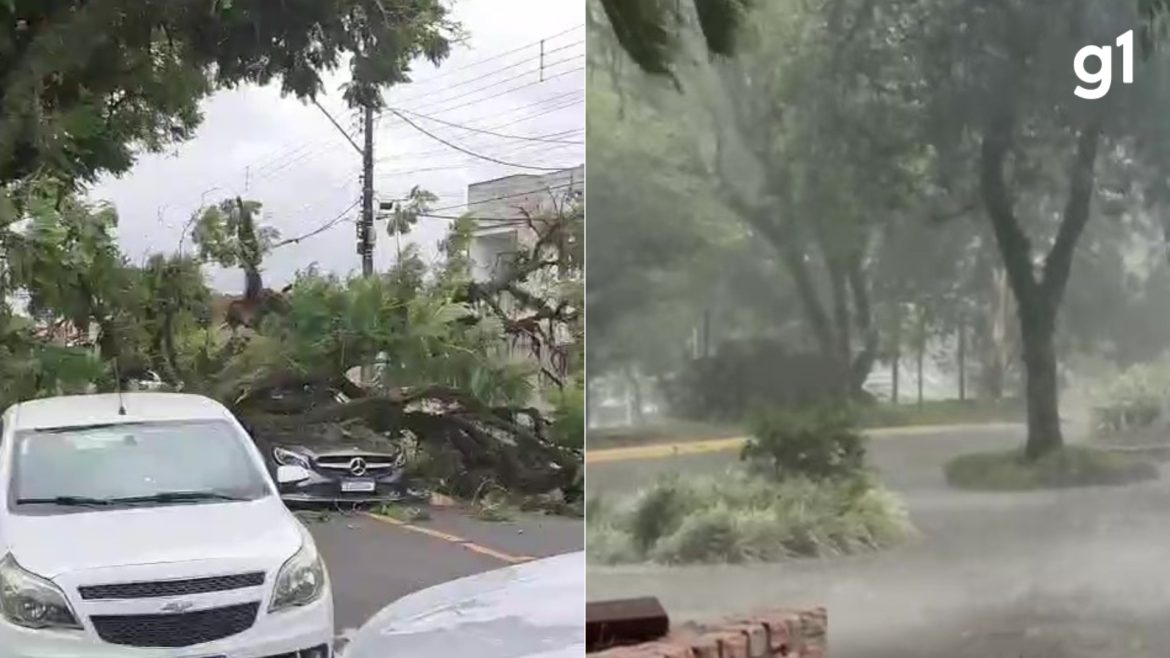 tempestade:-arvores-caem-em-ruas-e-atingem-carro-na-regiao-metropolitana-de-porto-alegre;-confira-a-previsao-para-o-rs