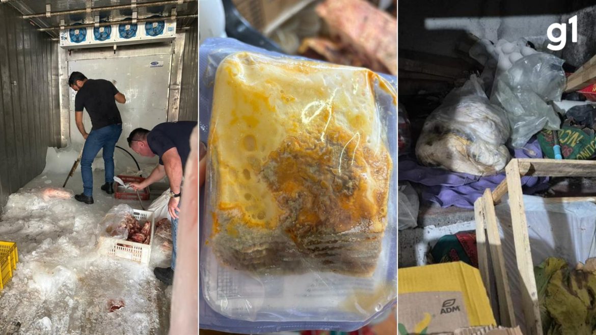 queijo-mofado,-produtos-vencidos-e-alimentos-sem-origem:-2,3-toneladas-sao-apreendidas-e-local-e-interditado-no-norte-do-rs