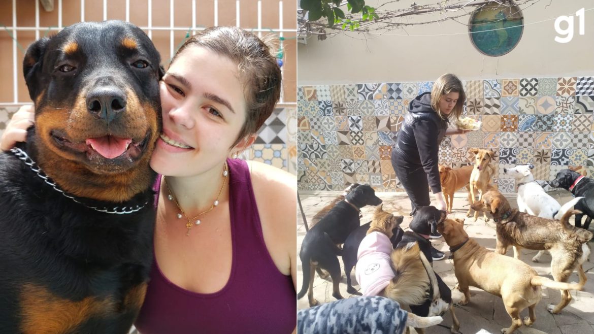 dieta,-tres-rodadas-de-limpeza-e-cuidado-com-latidos-a-noite:-veja-rotina-da-familia-que-herdou-mais-de-20-cachorros-apos-morte-de-veterinaria-em-show