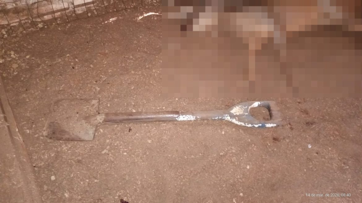 homem-invade-zoologico-e-mata-veado-no-rs