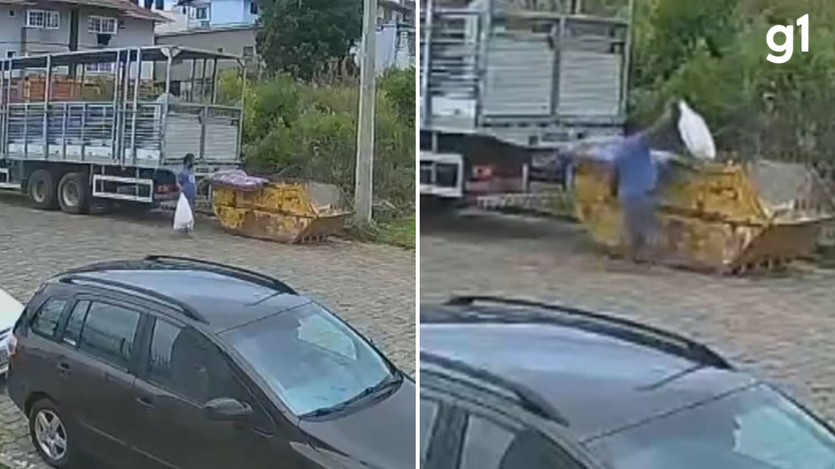 video:-homem-abandona-cachorro-doente-em-sacola-dentro-de-conteiner-no-rs;-animal-morreu