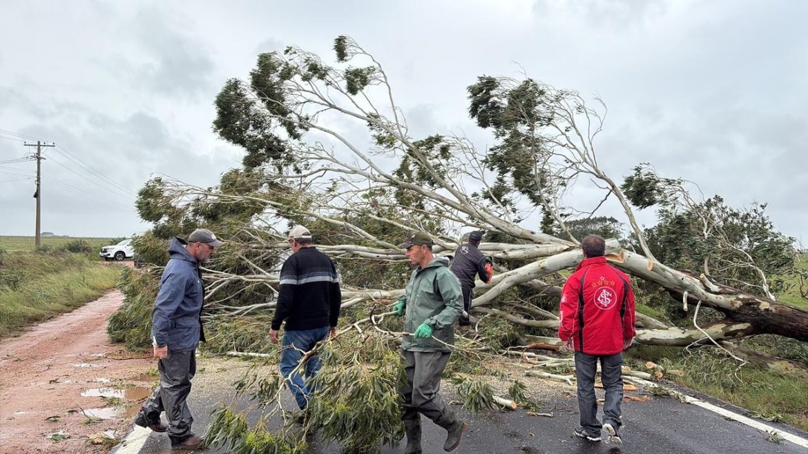 vento-de-quase-100km/h-deixa-9-mil-pessoas-sem-luz-e-causa-bloqueio-em-estrada-na-regiao-sul