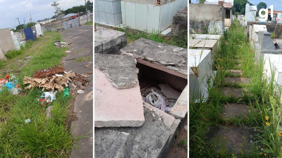 morador-relata-sujeira-e-grama-cobrindo-caixoes-em-cemiterio-ao-enterrar-a-mae-de-sapucaia-do-sul:-‘em-meio-ao-lixo’