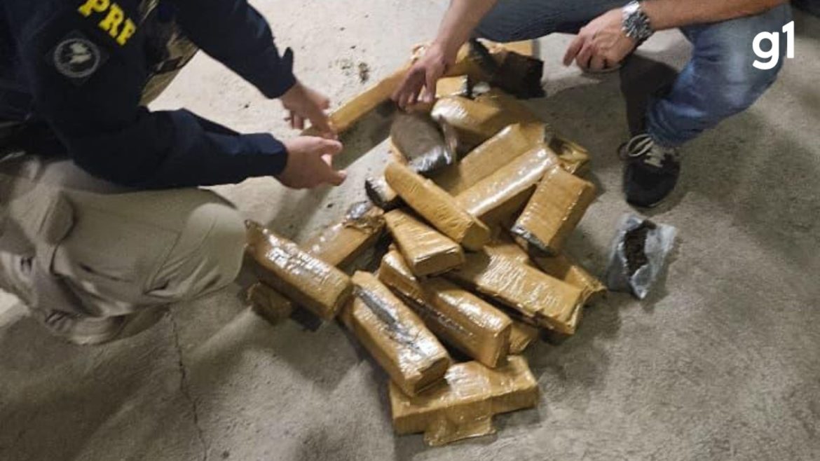 video:-casal-e-preso-apos-policia-encontrar-carga-de-maconha-em-tanque-de-combustivel-de-carro-na-br-290