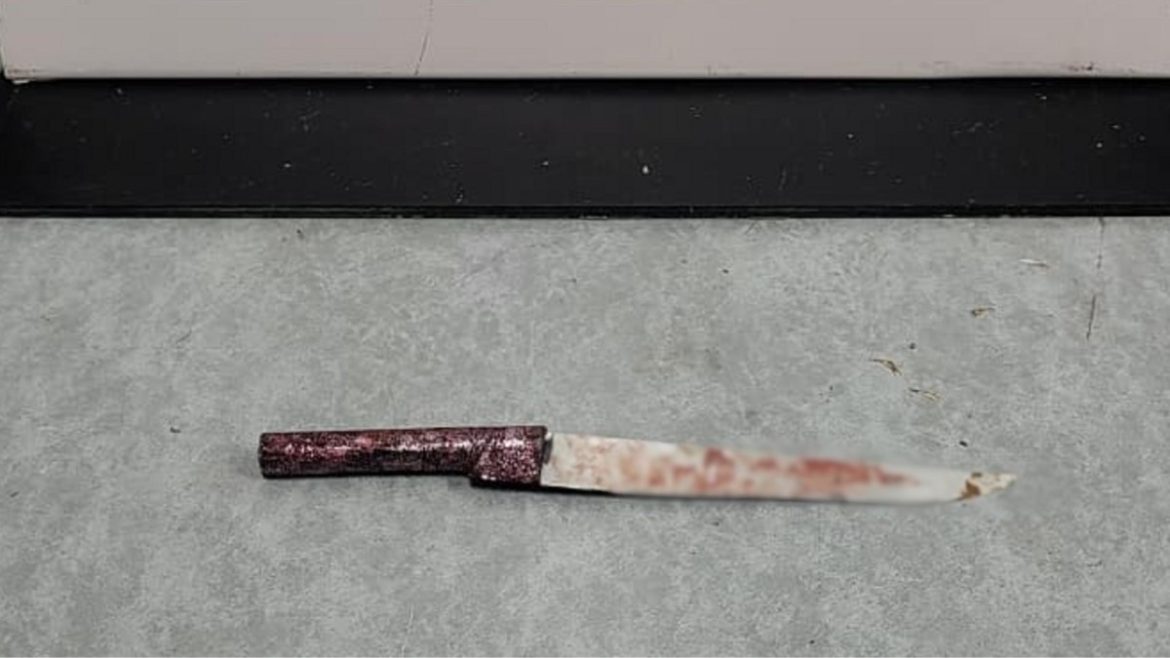 mulher-sobrevive-apos-ser-esfaqueada-quatro-vezes-pelo-companheiro-no-rs;-policia-investiga-tentativa-de-feminicidio