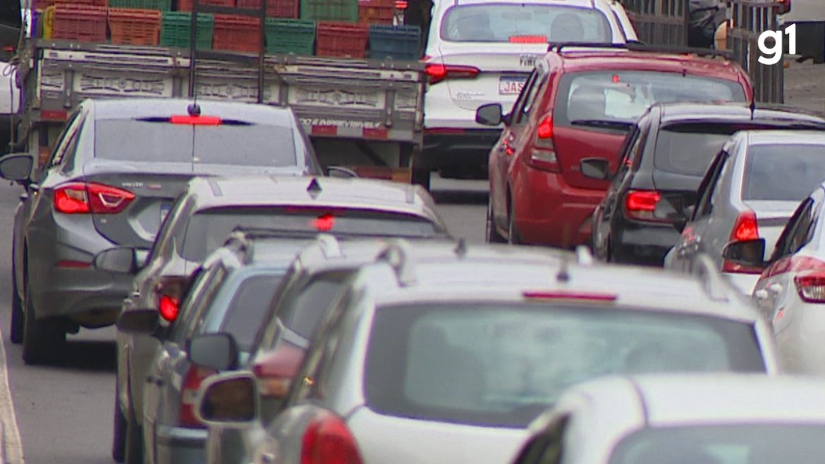 voce-sabia?-oito-cidades-do-rs-tem-mais-veiculos-do-que-moradores;-veja-lista