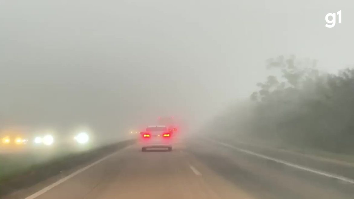 video:-neblina-intensa-reduz-visibilidade-em-rodovia-do-rs,-obriga-motoristas-a-reduzirem-velocidade-e-prf-alerta-para-cuidados