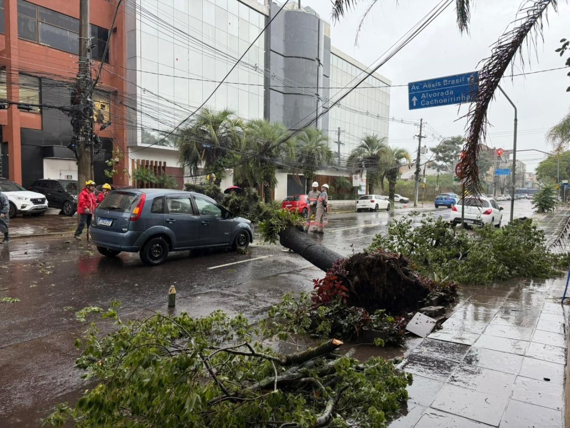 arvore-cai-e-atinge-carro-na-zona-norte-de-porto-alegre;-veja-relato-de-motorista