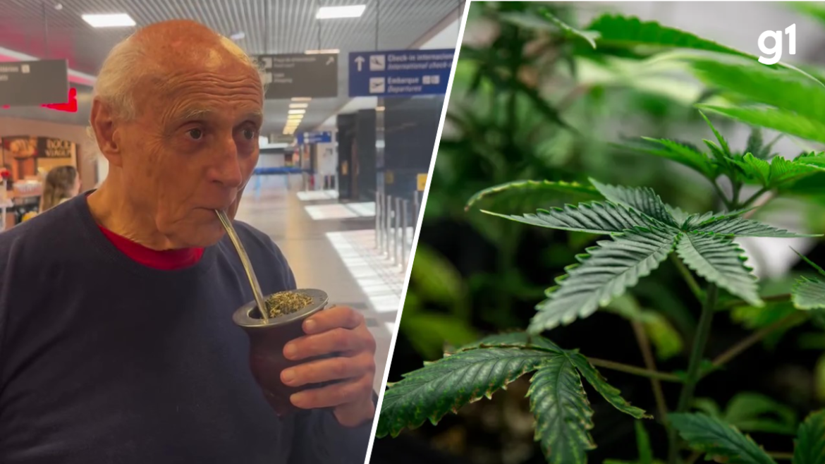 chimarrao-com-maconha?-conheca-bebida-terapeutica-(e-que-nao-da-barato)-compartilhada-por-eduardo-suplicy-em-visita-ao-rs