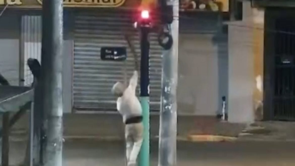 video:-mulher-vandaliza-totem-de-seguranca-instalado-12-horas-antes,-e-filmada-por-camera-proxima-e-acaba-detida-no-rs