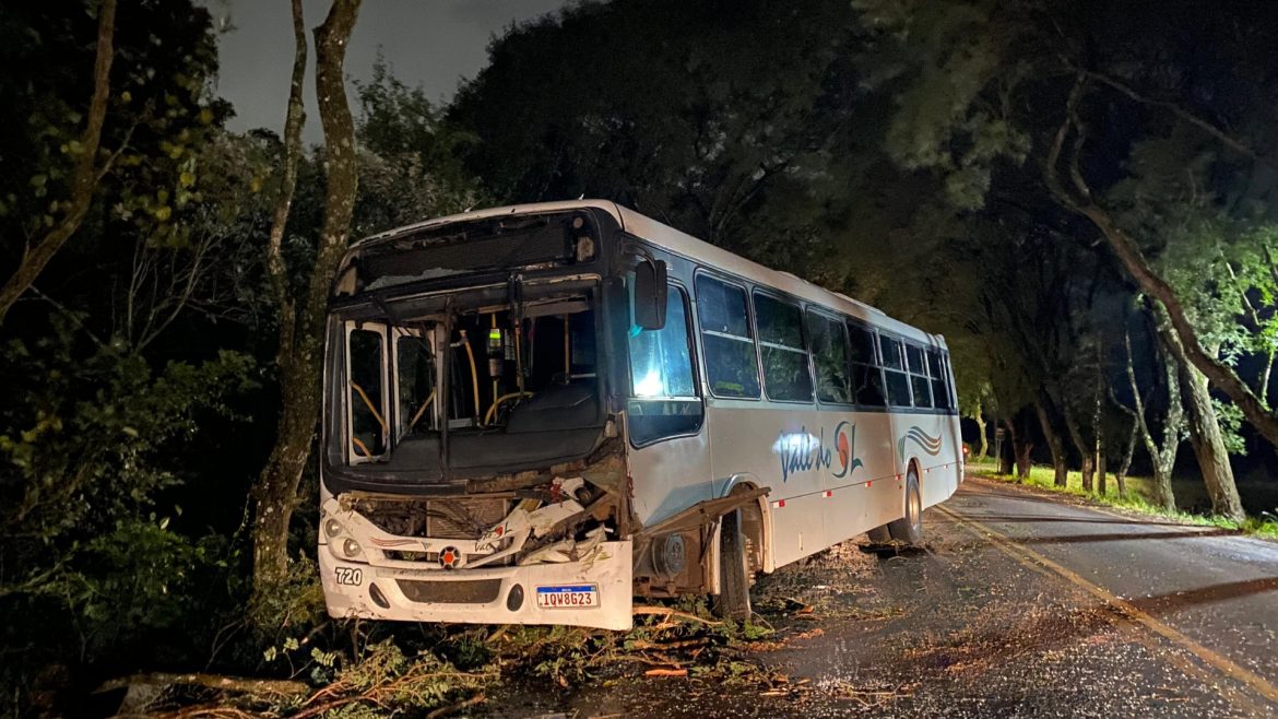vento-forte-derruba-arvore-sobre-onibus-em-vera-cruz-e-causa-bloqueio-de-mais-de-5-horas-em-rodovia