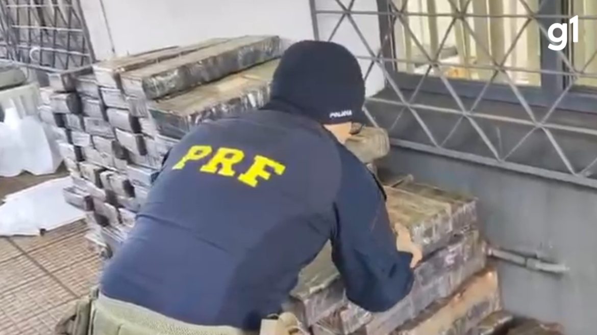 maior-apreensao-do-ano:-prf-encontra-1-tonelada-de-maconha-em-caminhao-de-racoes-no-norte-do-rs