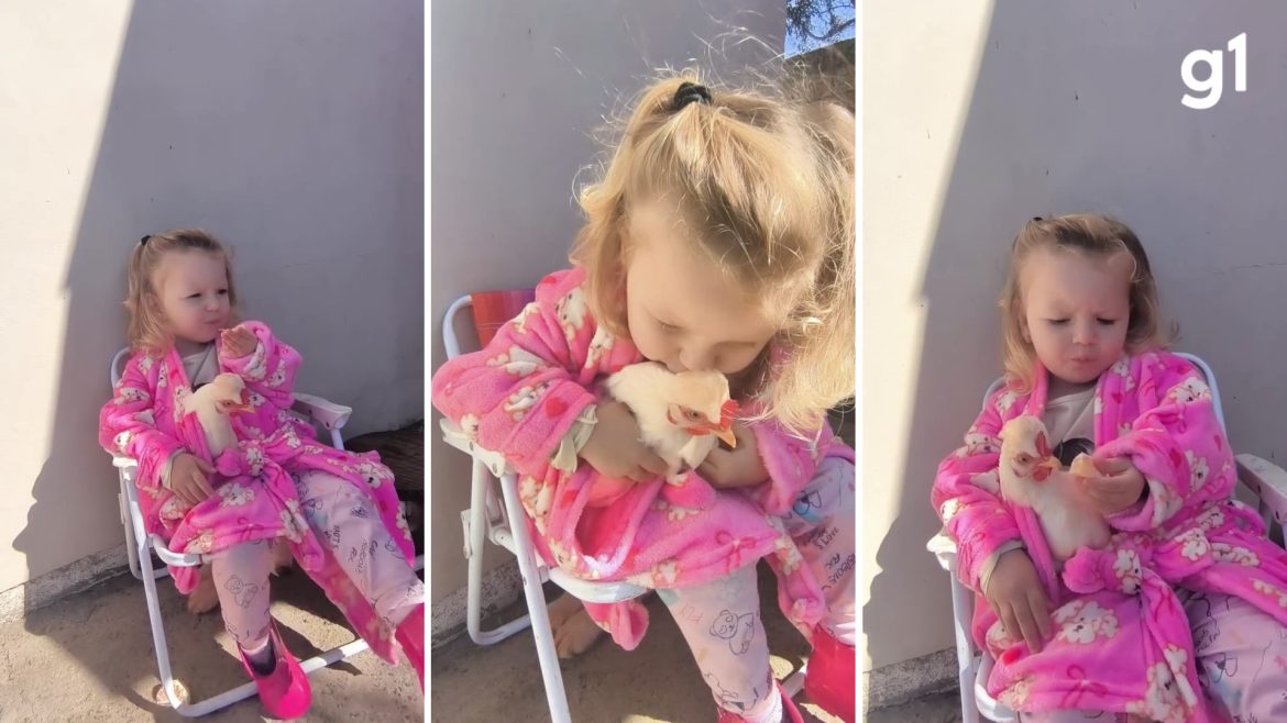 entre-galinhas,-ovelhas-e-patos:-conheca-bia,-a-menina-de-2-anos-que-cresce-cercada-de-bichos-e-viraliza-com-cenas-do-dia-a-dia