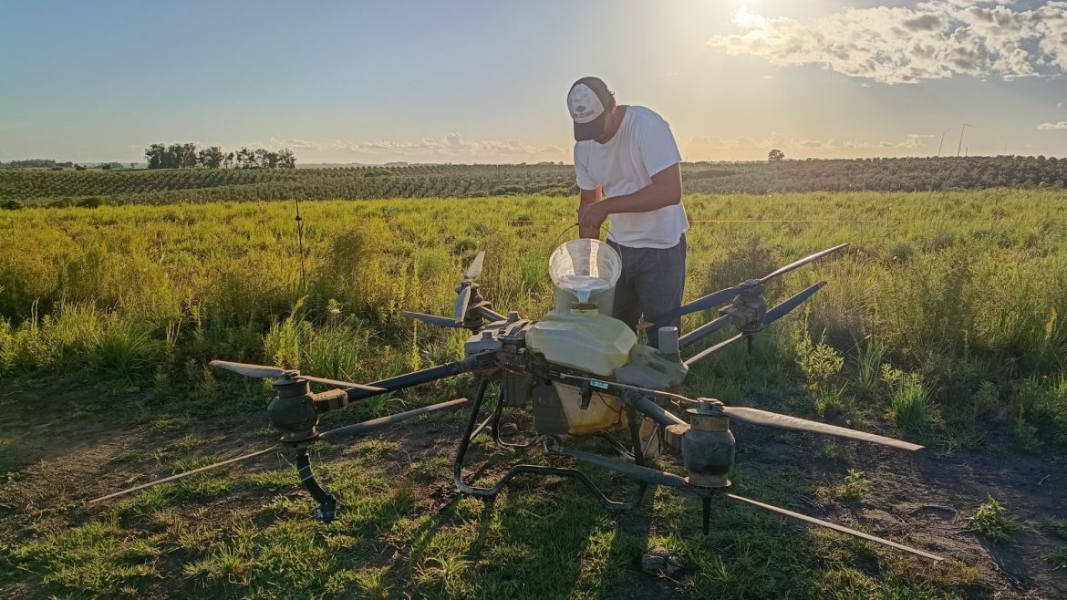 inovacao-no-campo:-rs-usa-drones-para-‘cacar’-carrapatos-com-solucao-biologica