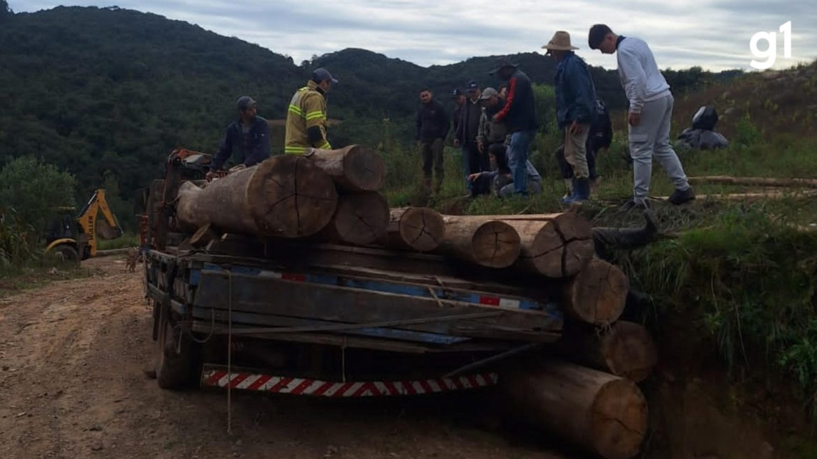 trabalhador-morre-soterrado-por-carga-de-madeira-no-norte-do-rs
