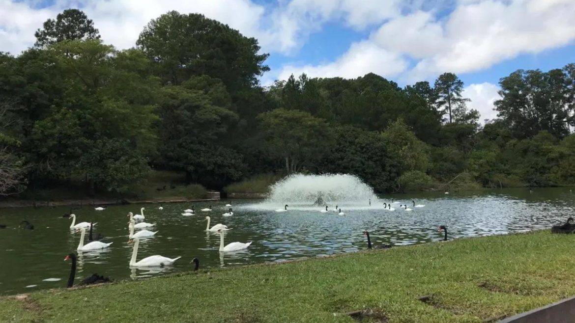 zoologico-de-sapucaia-do-sul-suspende-visitas-apos-morte-de-15-animais;-causa-e-investigada