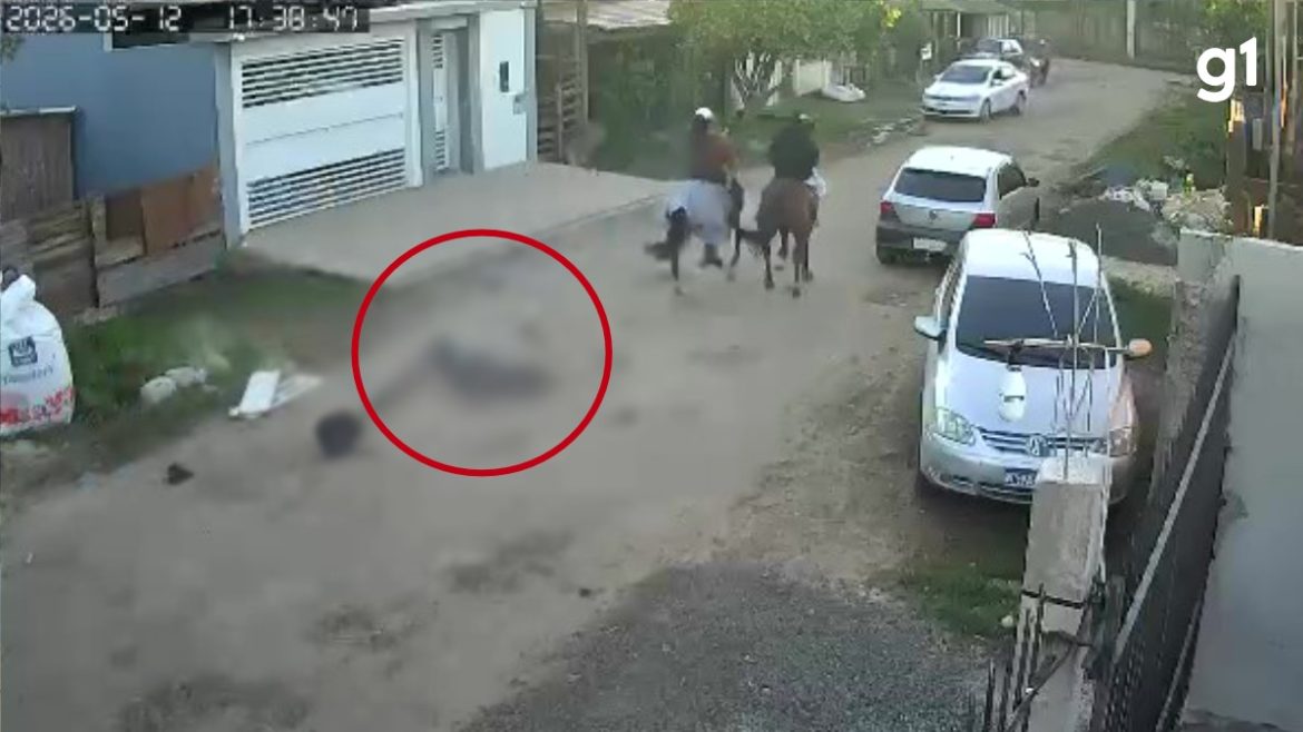 video:-idoso-fica-em-estado-grave-apos-ser-atropelado-por-cavalo-guiado-por-adolescente-em-uruguaiana,-no-rs