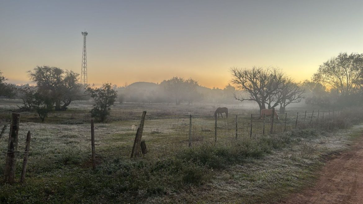 massa-de-ar-polar-avanca-sobre-o-rs-com-geada-e-minima-de-2,5c;-veja-as-menores-temperaturas