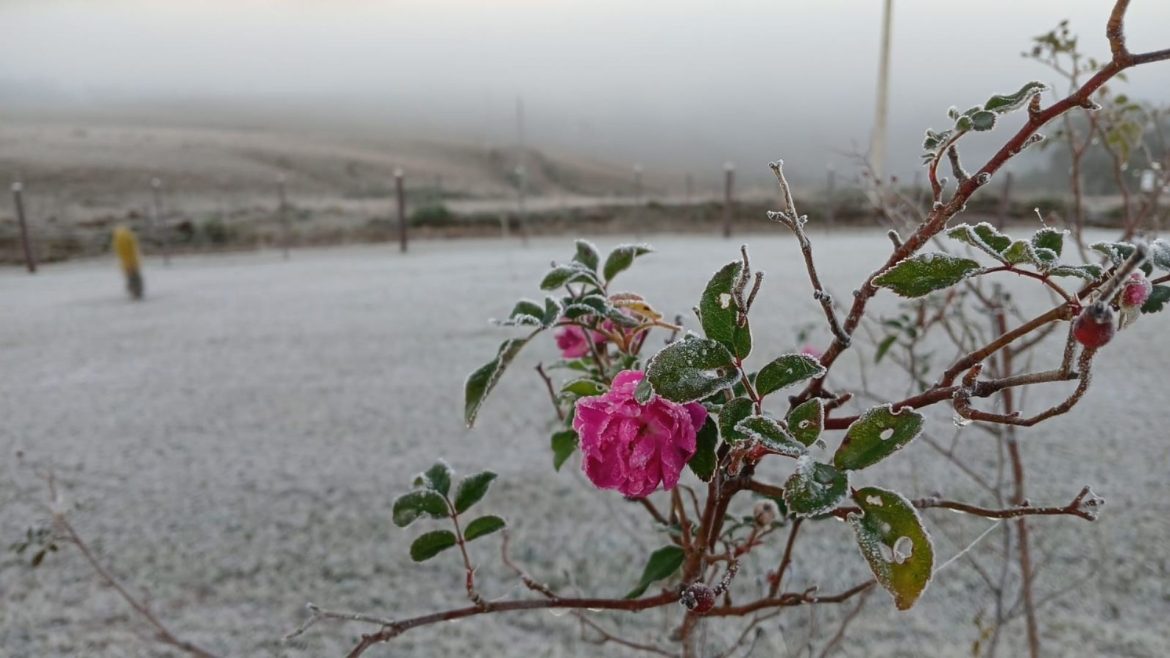 com-4,2c,-vacaria-registra-menor-temperatura-do-ano-no-rs;-veja-minimas
