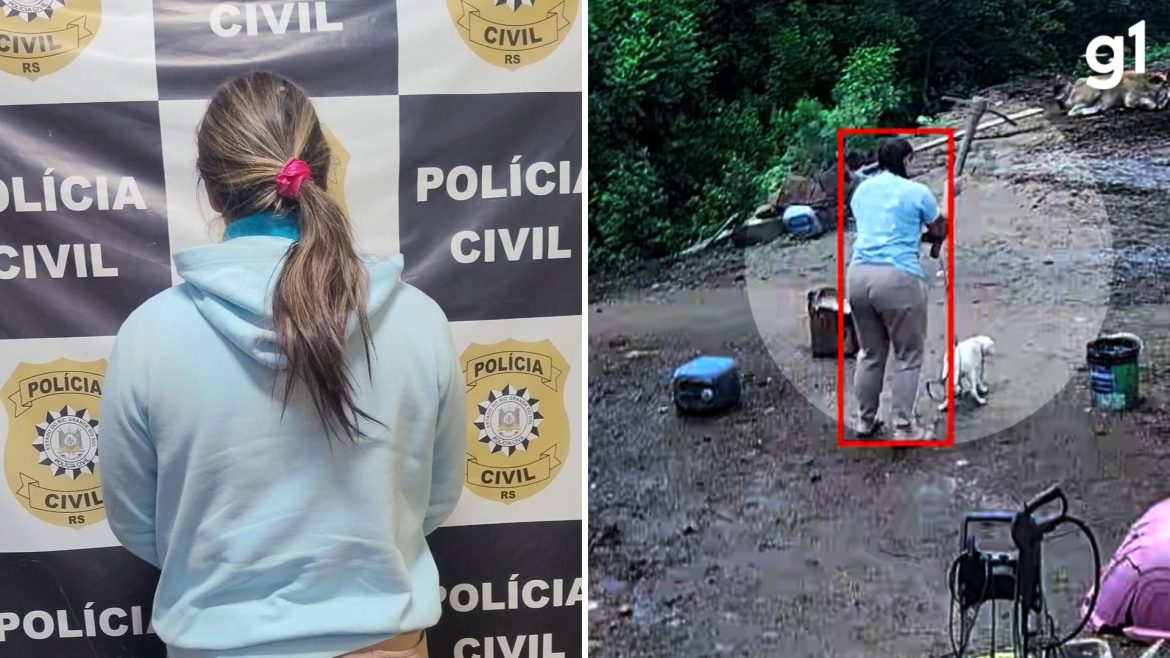 mp-rs-denuncia-casal-pela-morte-do-cao-branquinho-com-picareta-e-maus-tratos-a-outros-animais-em-porto-alegre