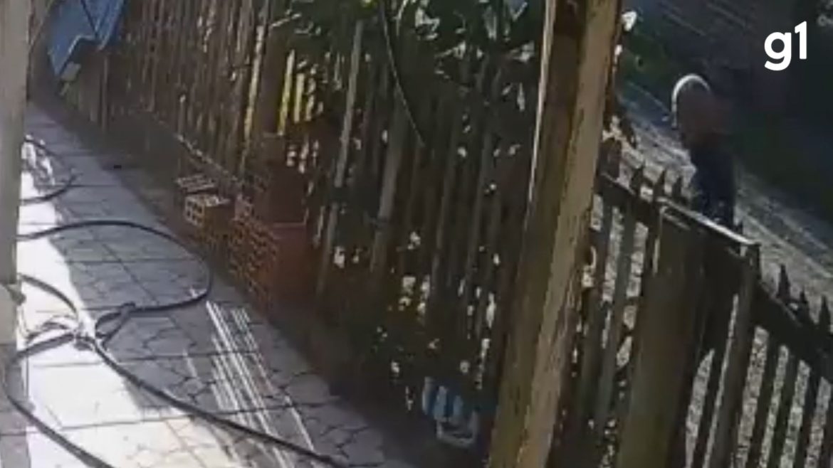 homem-e-preso-apos-agredir-cachorro-com-pedaco-de-madeira-no-litoral-norte