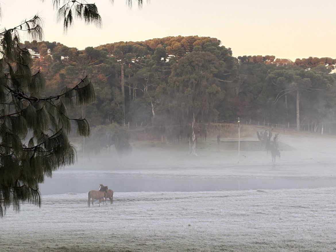 serra-gaucha-projeta-aumento-no-no-de-turistas-e-preve-mais-de-5,3-milhoes-de-visitantes-durante-o-inverno