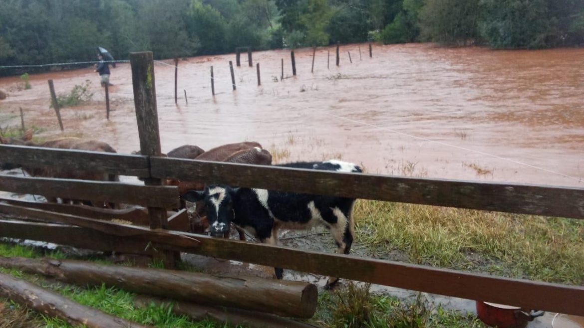 chuva-de-quase-200mm-cancela-aulas,-eleva-nivel-de-rios-e-deixa-estragos-no-rs