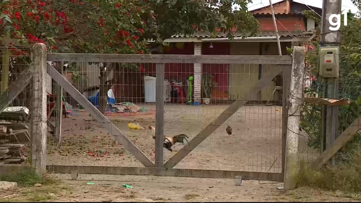 policia-investiga-latrocinio-de-mulher-dentro-de-casa-em-praia-pacata-do-rs;-marido-foi-baleado-na-cabeca