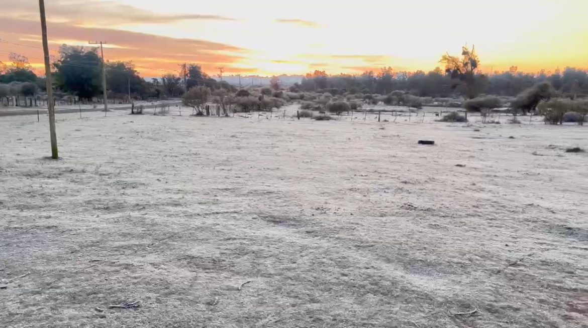 frio-intenso-e-chance-de-geada:-previsao-do-tempo-indica-terca-feira-gelada-no-rs;-confira