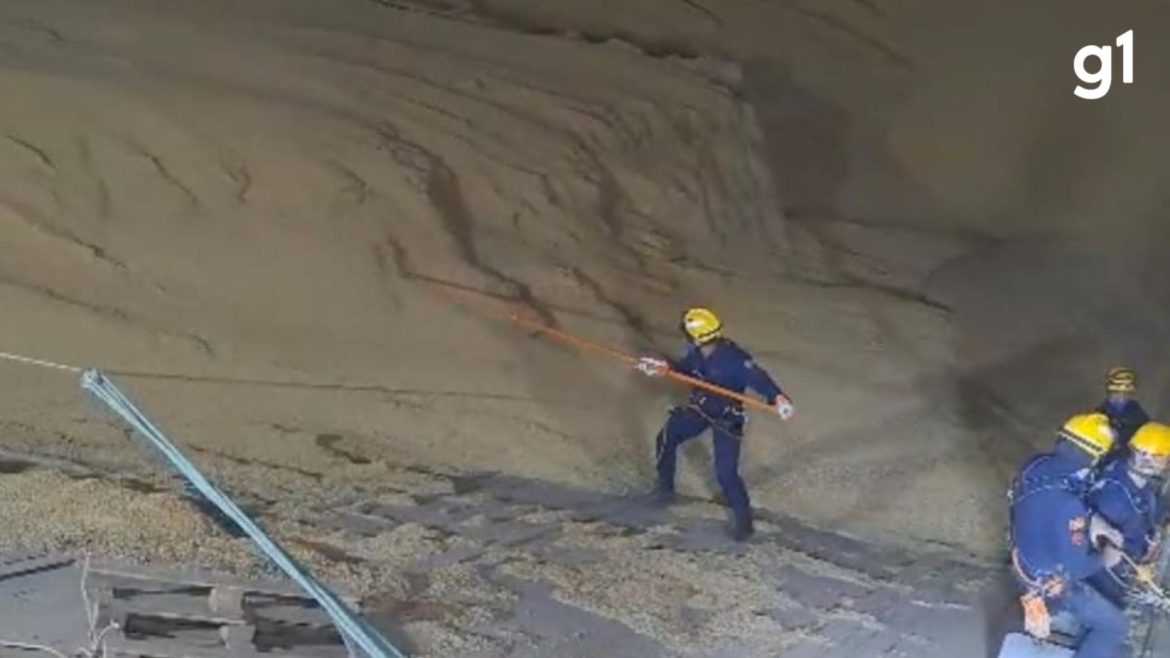 trabalhador-que-caiu-em-silo-de-soja-e-encontrado-morto-apos-mais-de-36-horas-de-buscas-no-rs