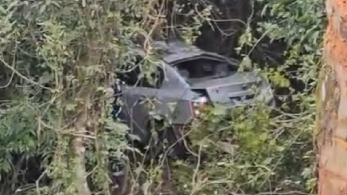 jovem-de-20-anos-morre-em-acidente-apos-carro-sair-da-pista-na-br-287