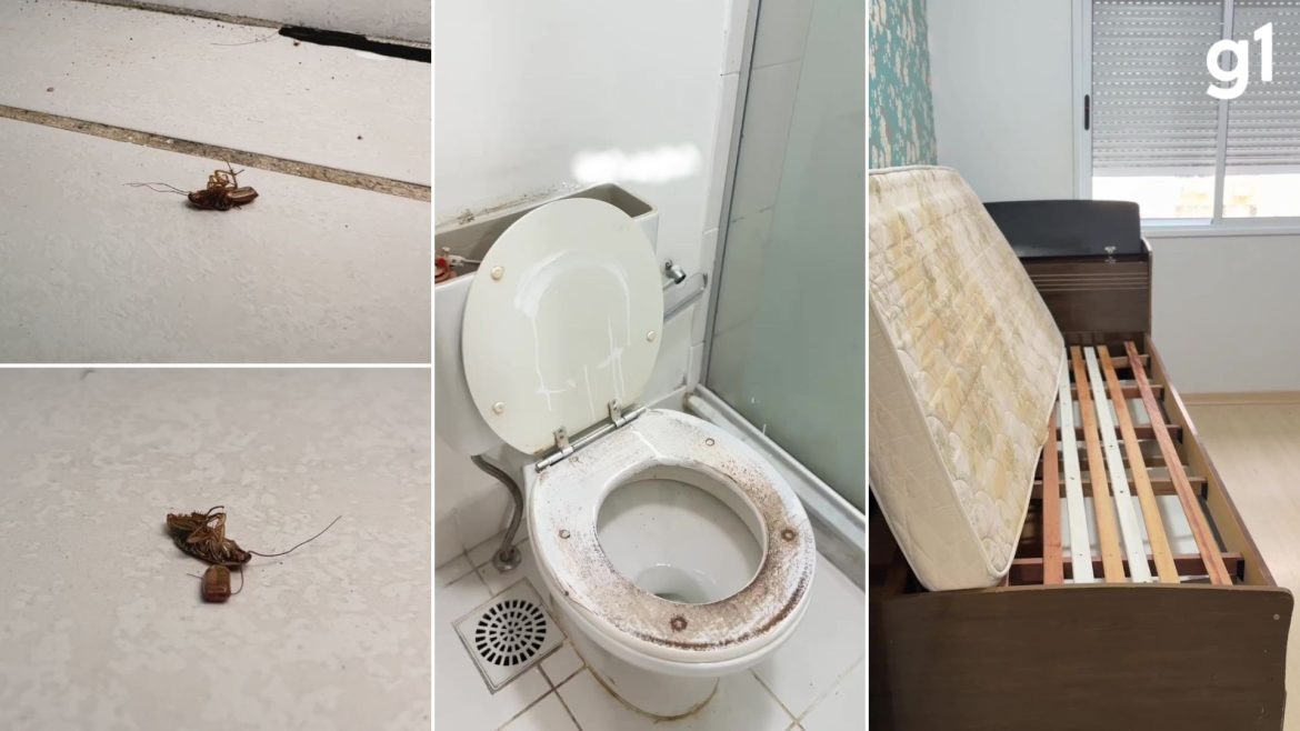 infestacao-de-baratas,-moveis-e-janelas-quebradas:-dona-recebe-apartamento-destruido-no-rs