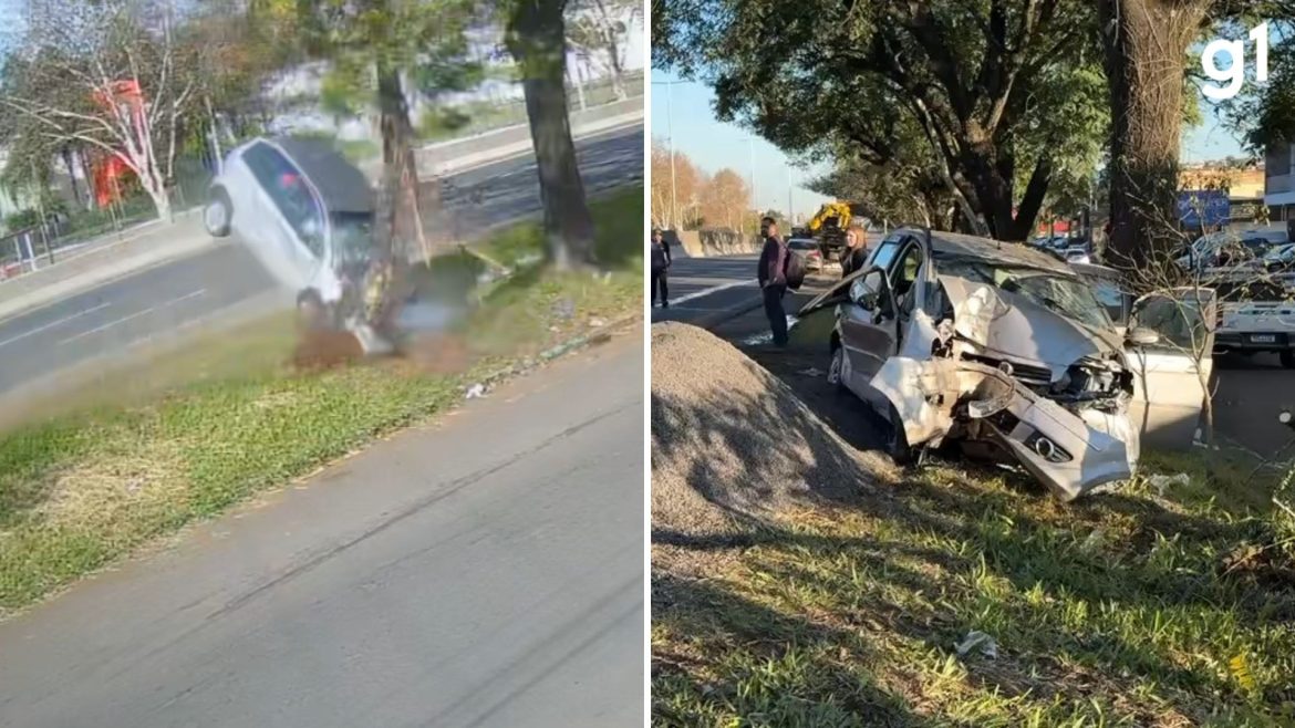 video:-carro-com-6-ocupantes-da-mesma-familia-atinge-arvore-apos-choque-com-caminhao-no-rs