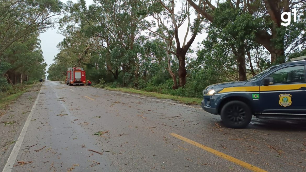 com-rajadas-de-vento-de-ate-104,9-km/h,-rs-tem-16-cidades-com-transtornos;-rodovia-tem-bloqueio